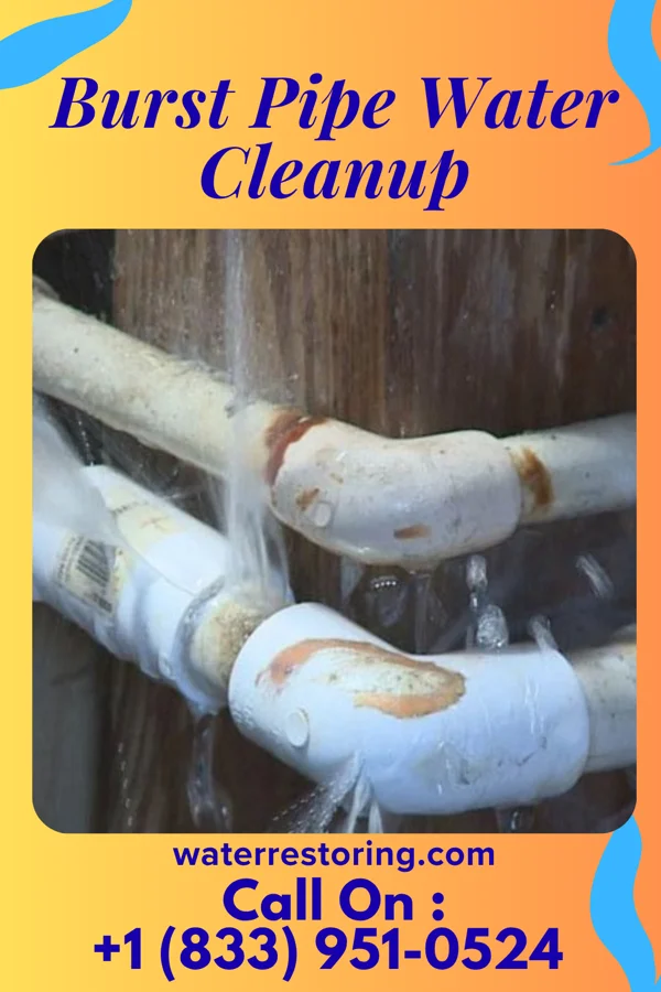 Burst Pipe Water Cleanup in Hayden, AZ